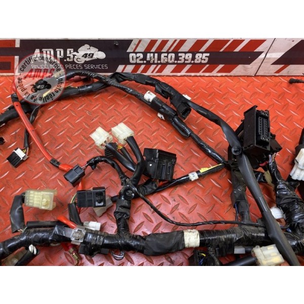 Faisceau électrique principale 