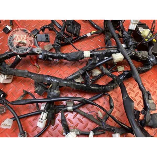 Faisceau électrique principale 