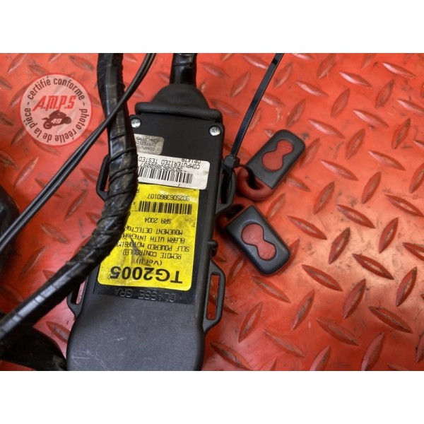 Faisceau électrique principale 