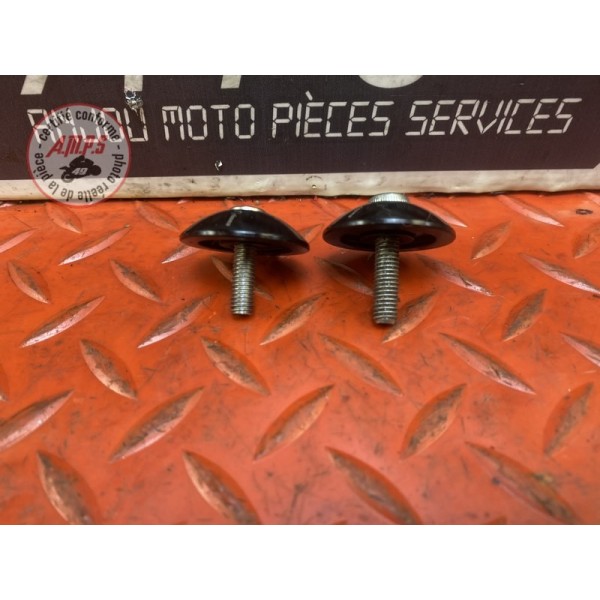 Paire d'embout de guidon RIZOMA 