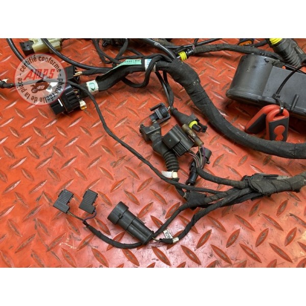 Faisceau électrique principale 