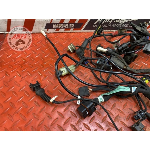 Faisceau électrique principale 