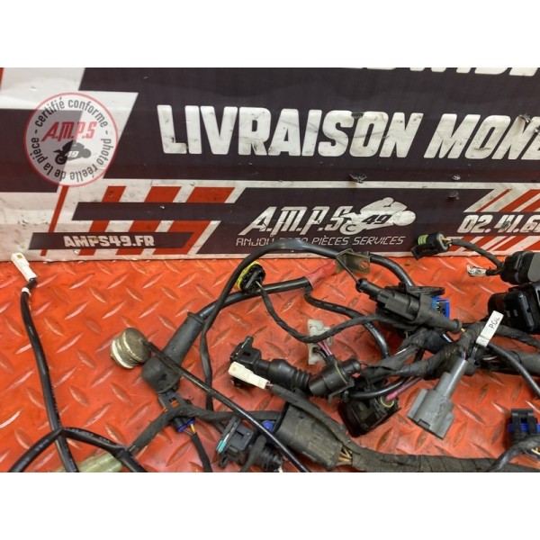 Faisceau électrique principale 