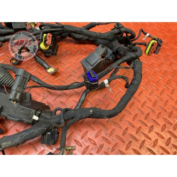 Faisceau électrique principale 