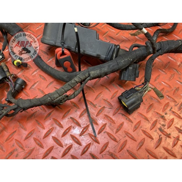 Faisceau électrique principale 