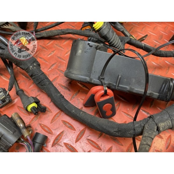 Faisceau électrique principale 