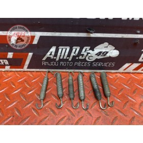 Ressort pot echappement 