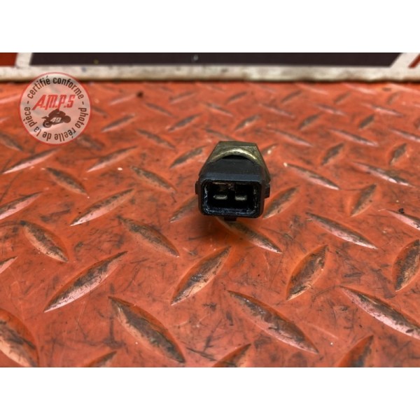 Sonde de température d'eau 