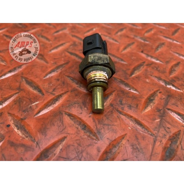 Sonde de température d'eau 