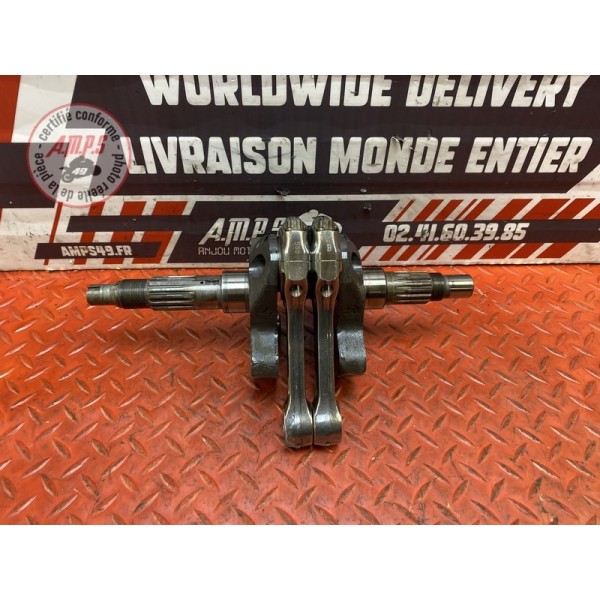 Vilebrequin avec bielles 