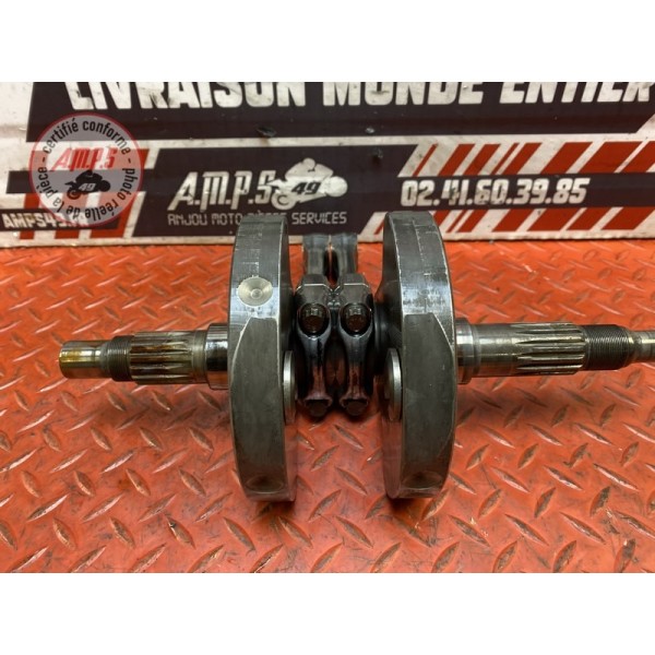 Vilebrequin avec bielles 