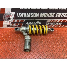 Amortisseur arrière 