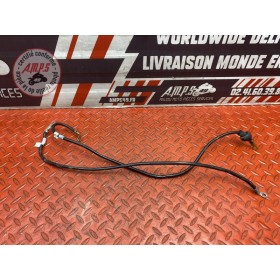 Cable de masse 
