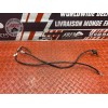 Cable de masse 