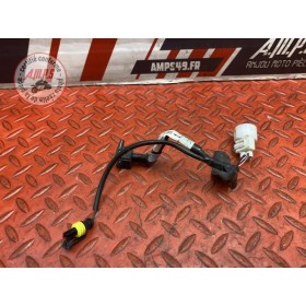 Faisceau sonde moteur 