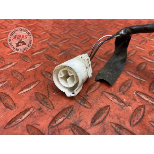Faisceau sonde moteur 