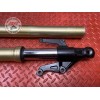 Paire de tube de fourche 