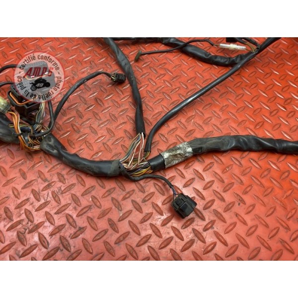 Faisceau électrique principale 
