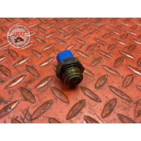 Sonde de température d'eau 