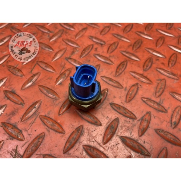Sonde de température d'eau 