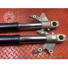 Paire de tube de fourche 