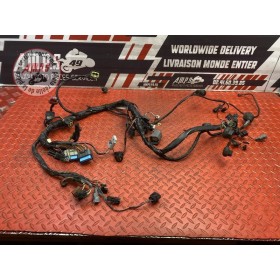 Faisceau électrique principale 