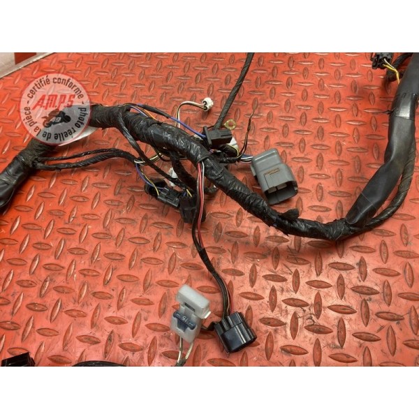 Faisceau électrique principale 