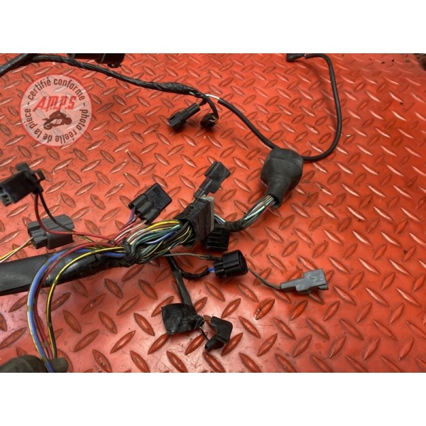 Faisceau électrique principale 