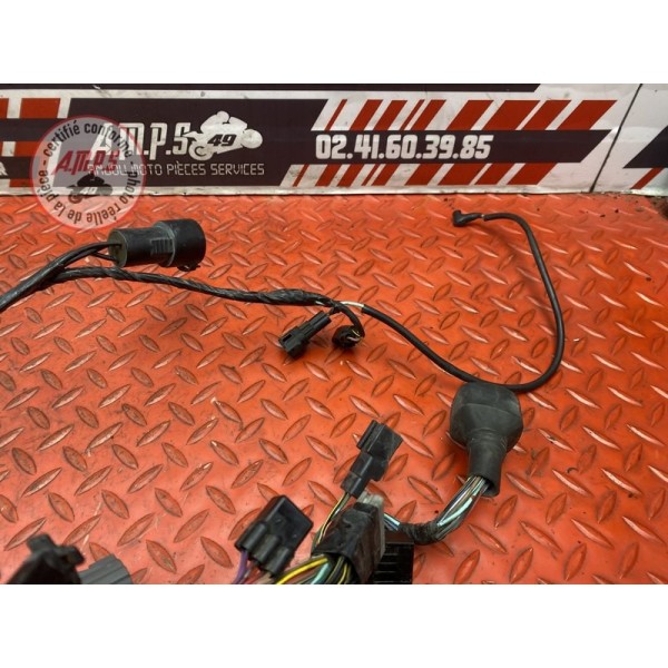 Faisceau électrique principale 