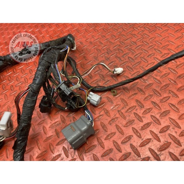 Faisceau électrique principale 