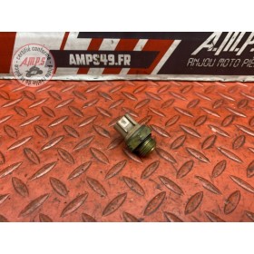 Sonde de température d'eau 