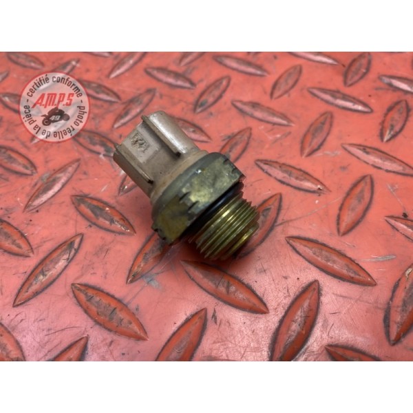 Sonde de température d'eau 