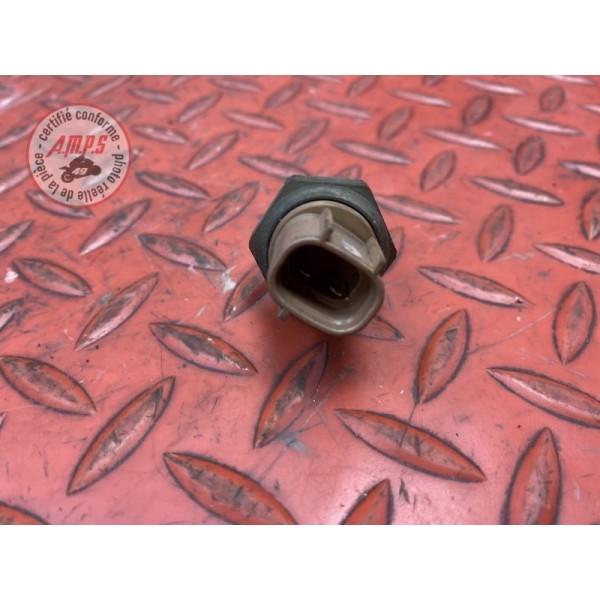 Sonde de température d'eau 