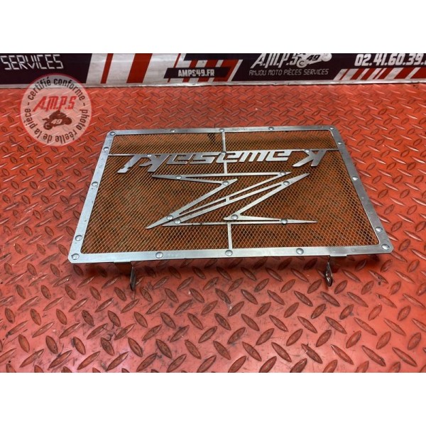 Grille de radiateur perso 