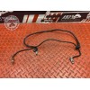 Cable de masse 