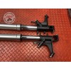 Paire de tube de fourche Honda CBR 1000 RR Fireblade 2006 à 2007 