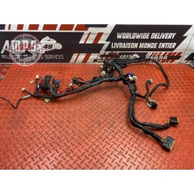 Faisceau électrique principale 