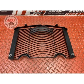 Grille de radiateur 