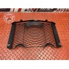 Grille de radiateur 