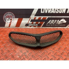 Grille de ram air 