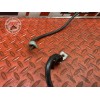 Cable de masse 