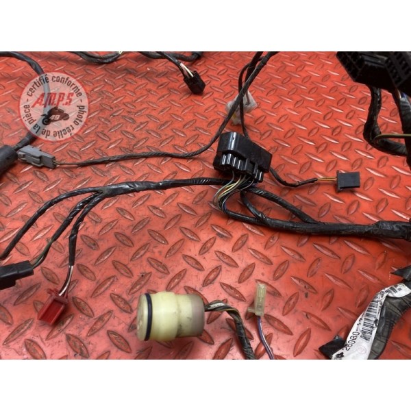Faisceau électrique principale 