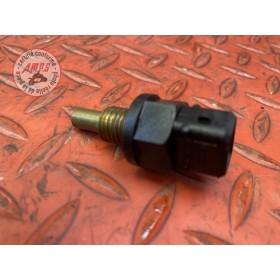 Sonde de température d'eau 