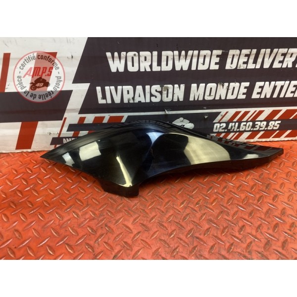 Coque arrière gauche 