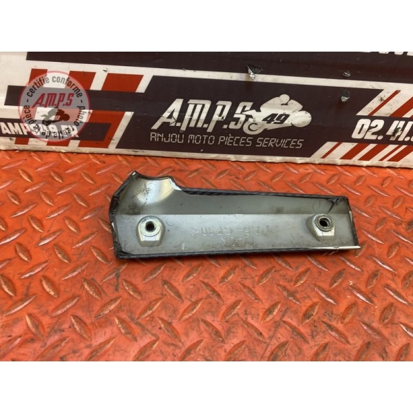 Ecope de radiateur droit 