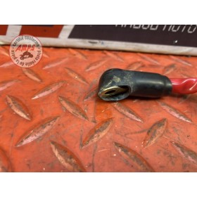 Cable de batterie 