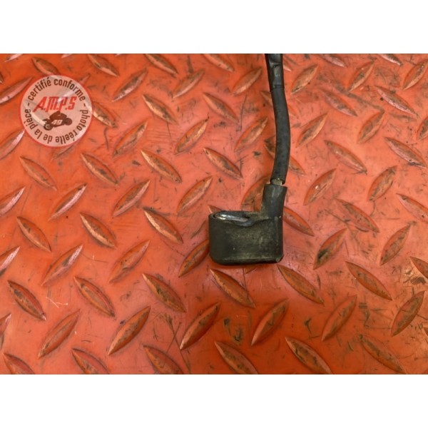 Cable de demarreur 