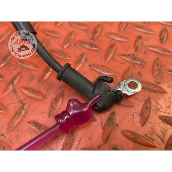 Cable de demarreur 