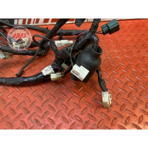 Faisceau électrique principale 