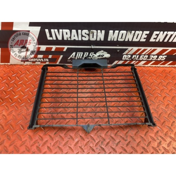 Grille de radiateur 